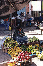 Fruit woman, 86KB